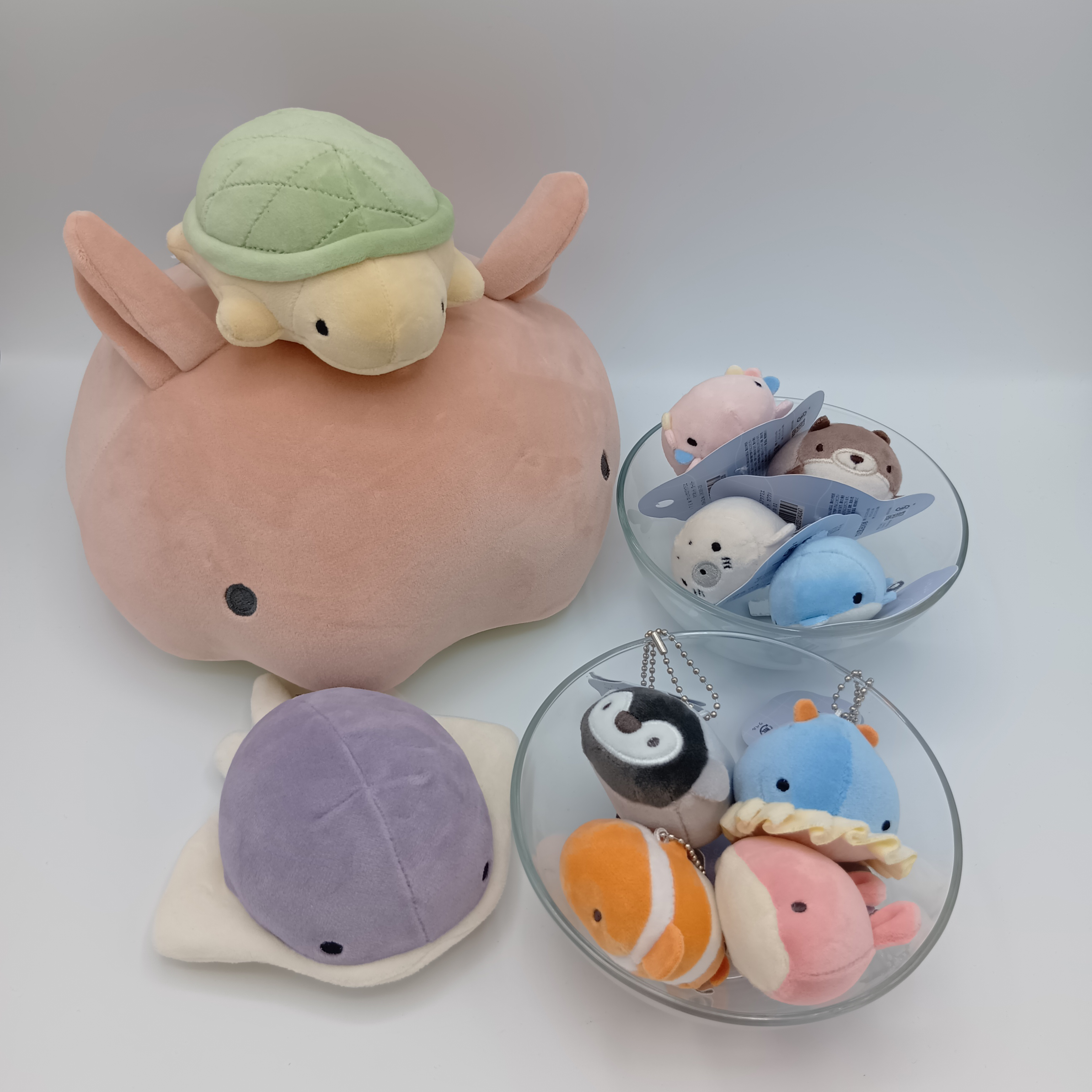 マシュマロアクアミエ