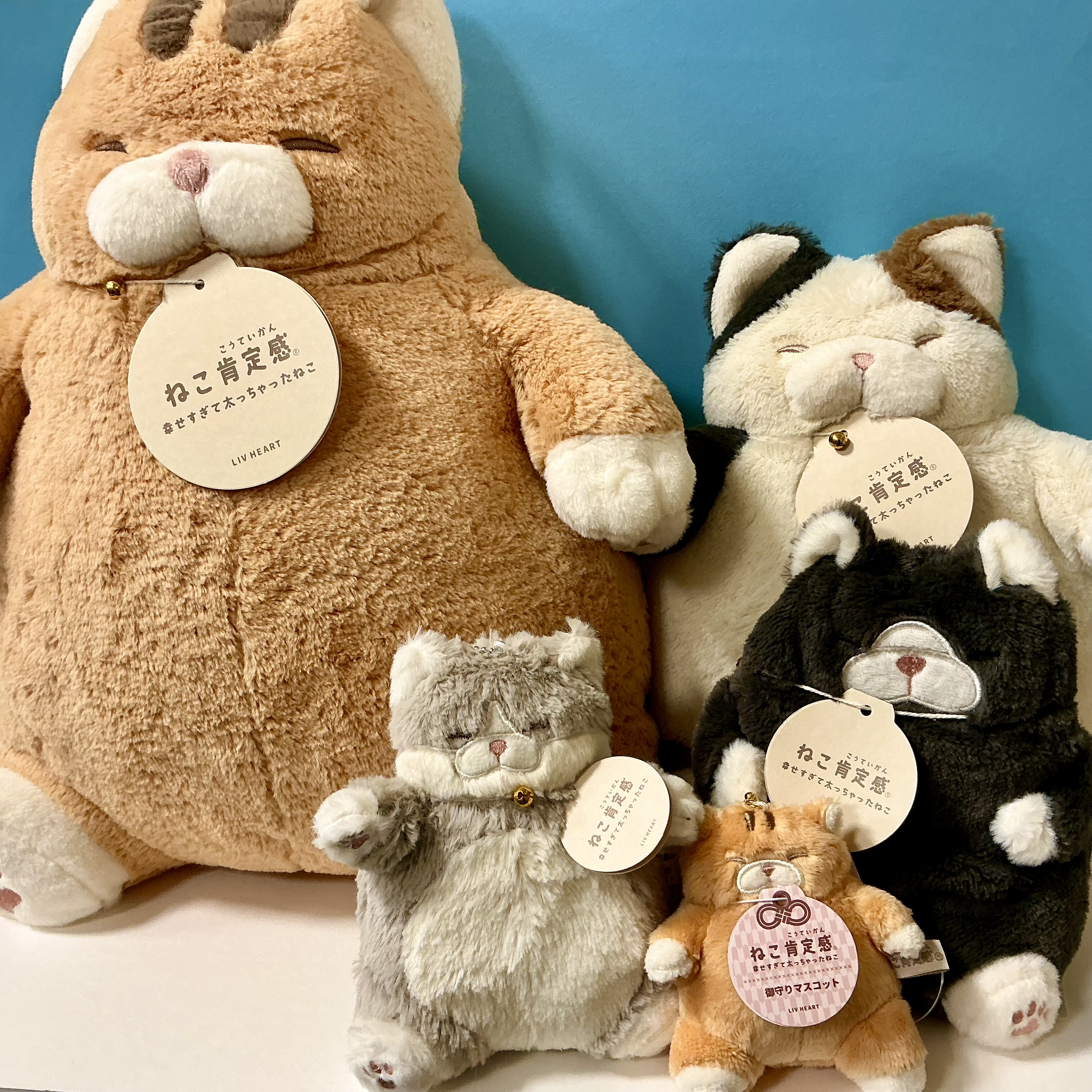 ねこ肯定感