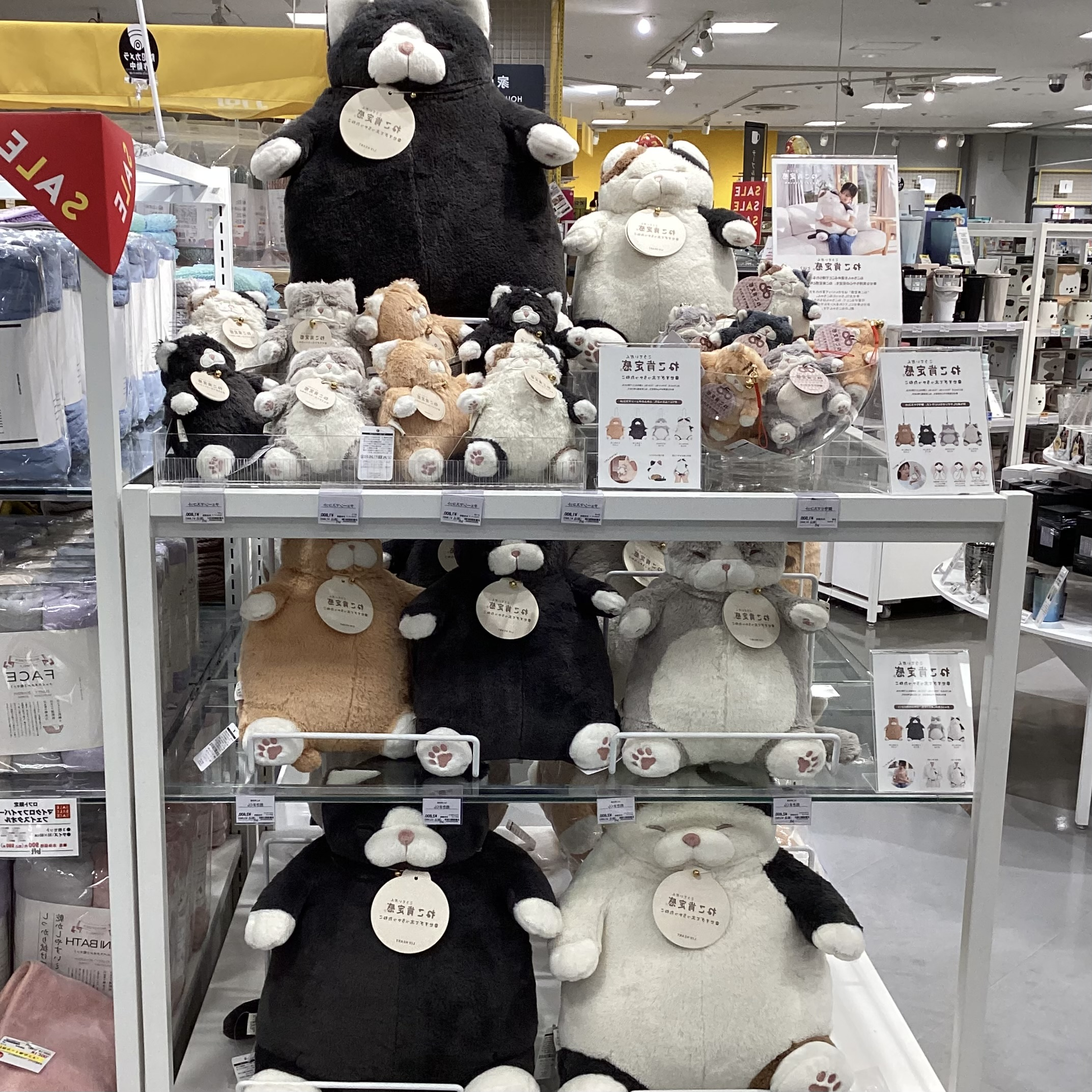ねこ肯定感　POP UP