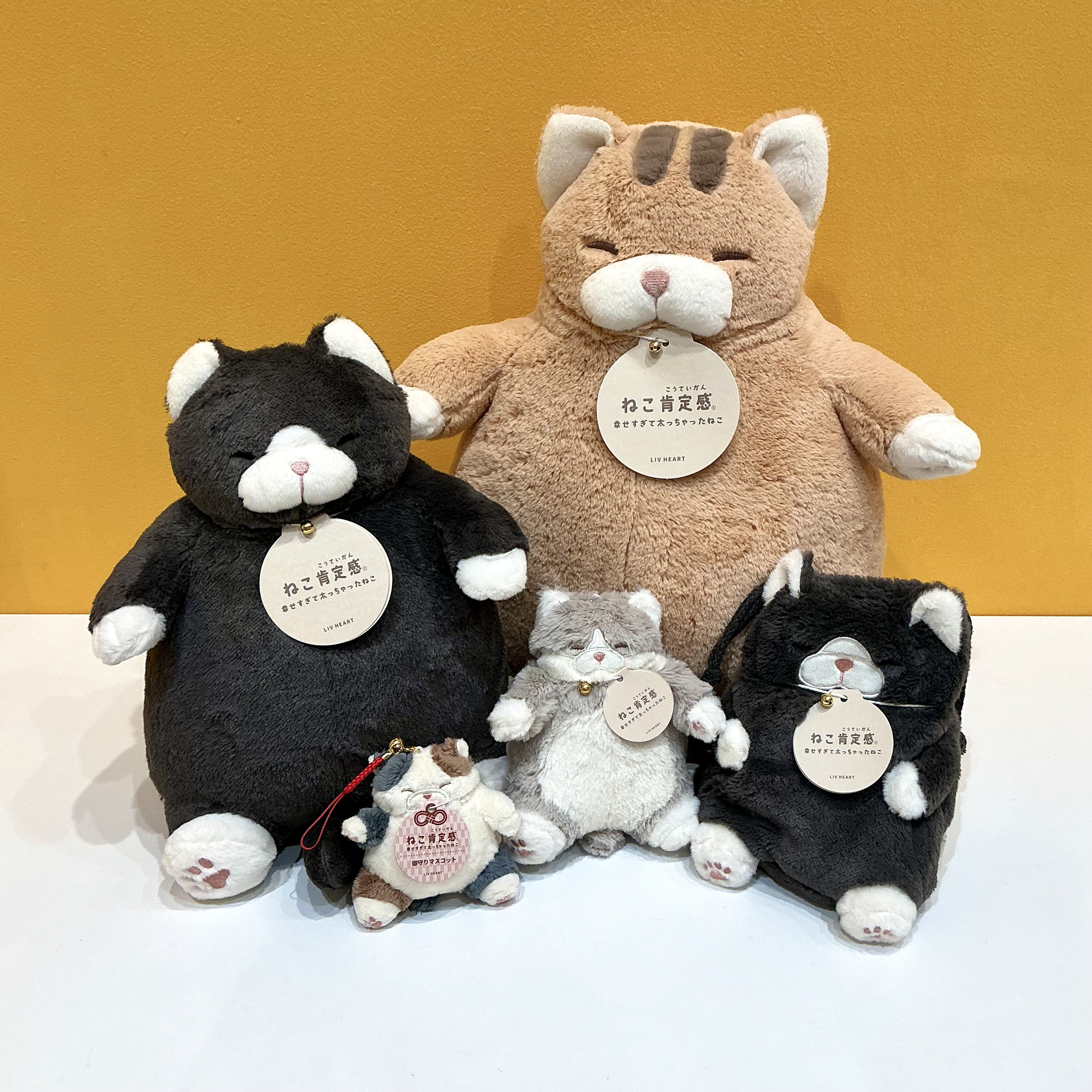 ふわふわで可愛い『ねこ肯定感』