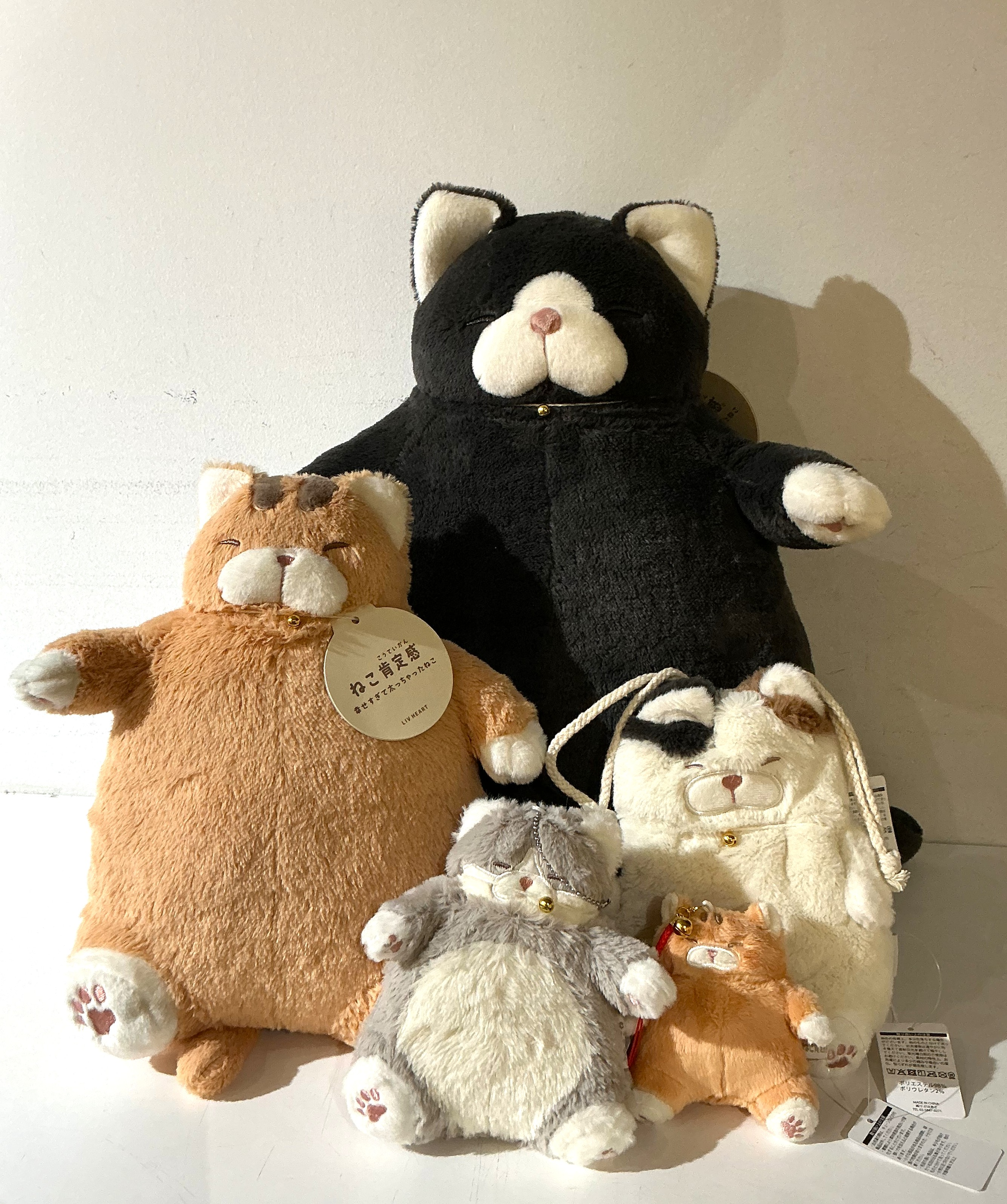 ねこ肯定感