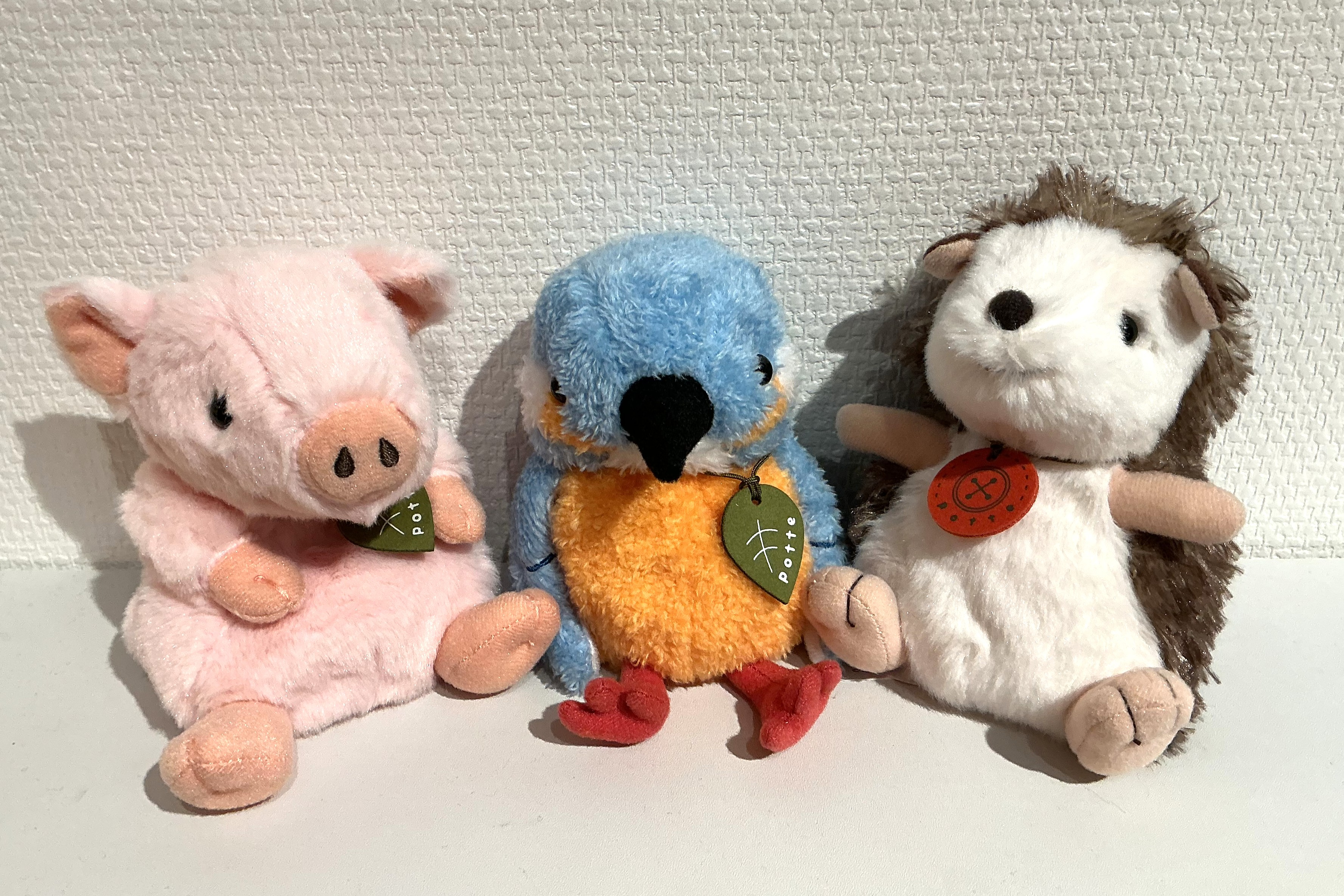 potte (ポッテ)