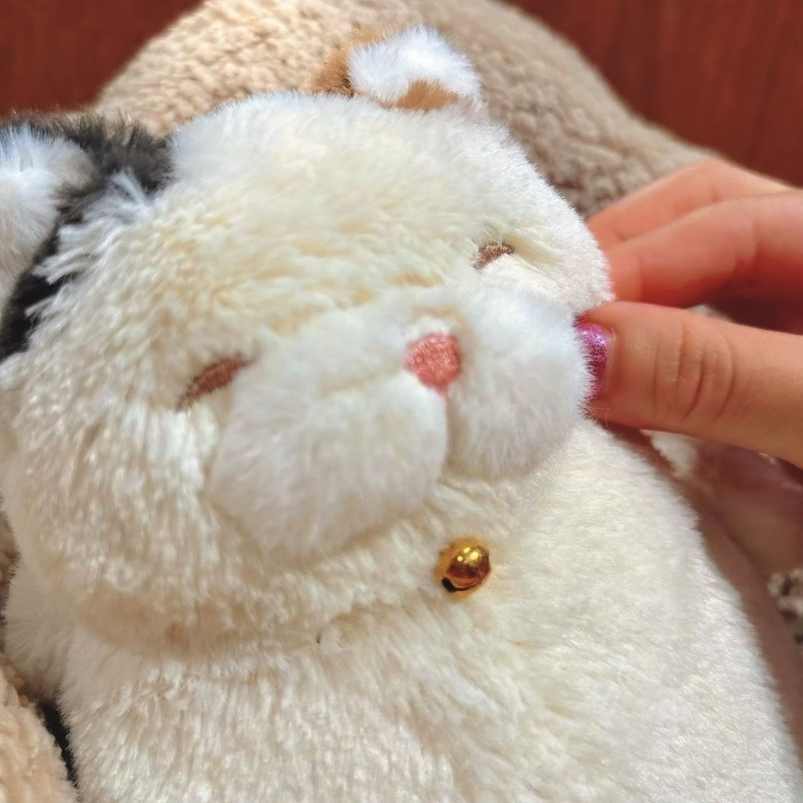 かわいすぎて太っちゃったねこ