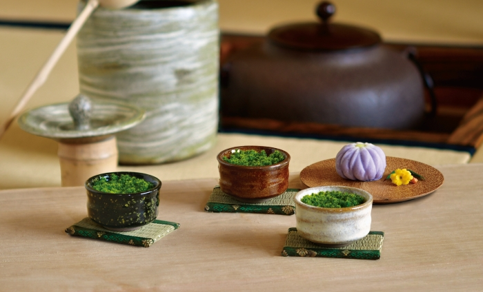 栽培キット「抹茶碗苔盆栽」
