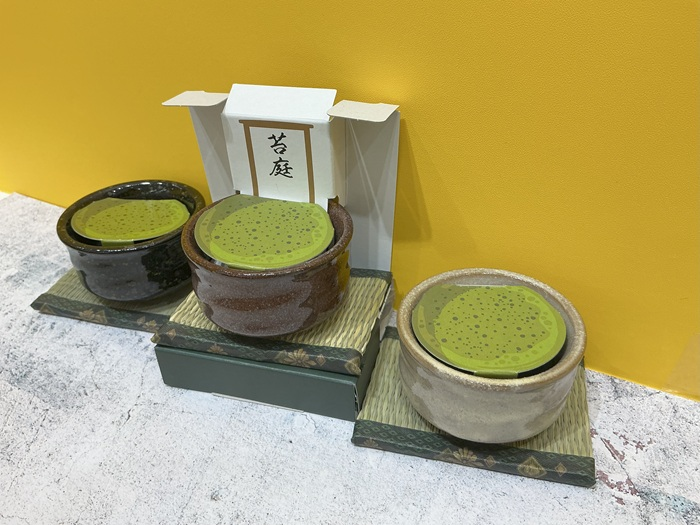 抹茶椀苔盆栽