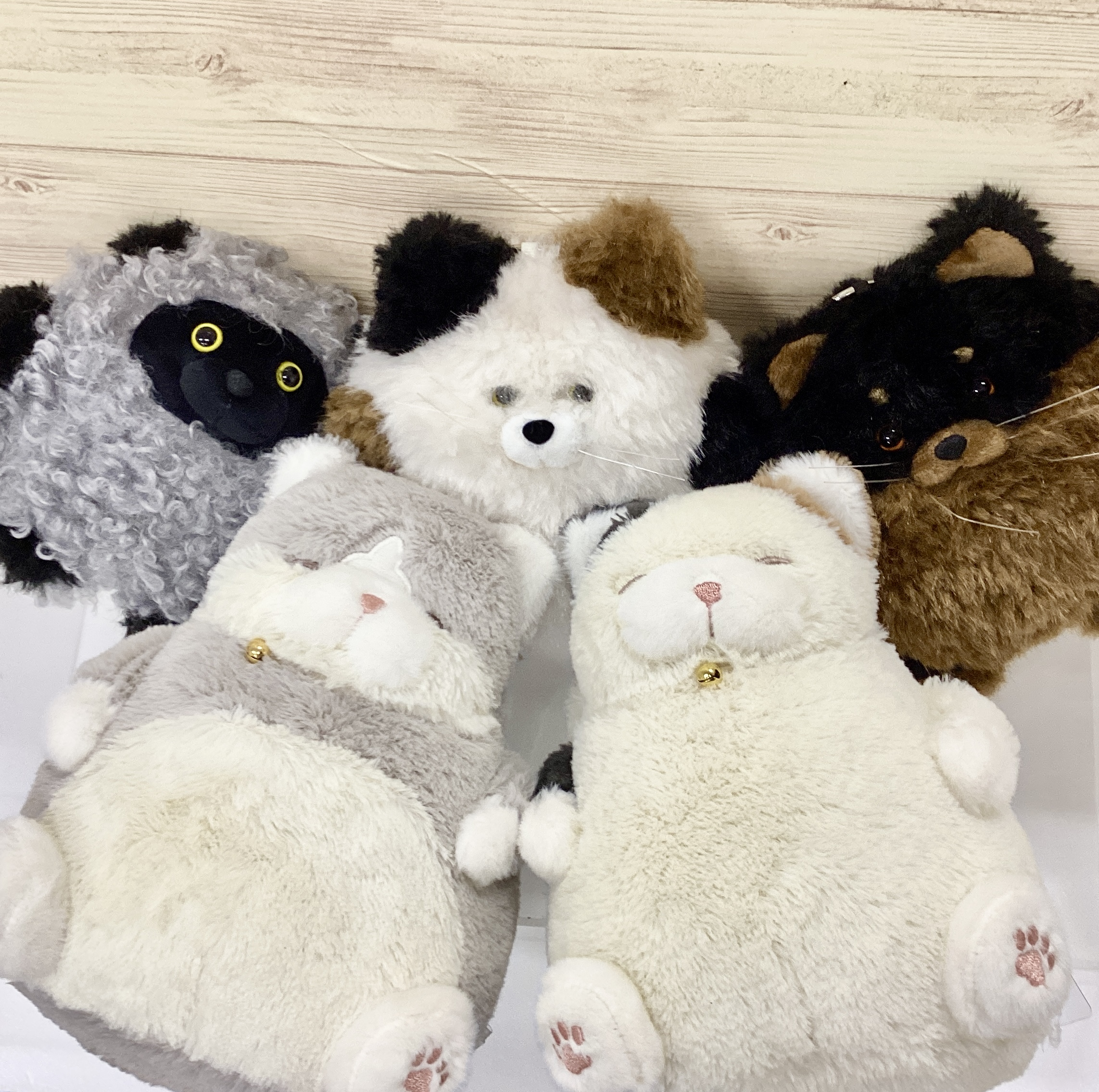 もふもふとぽかぽかを、ずっと一緒に♡