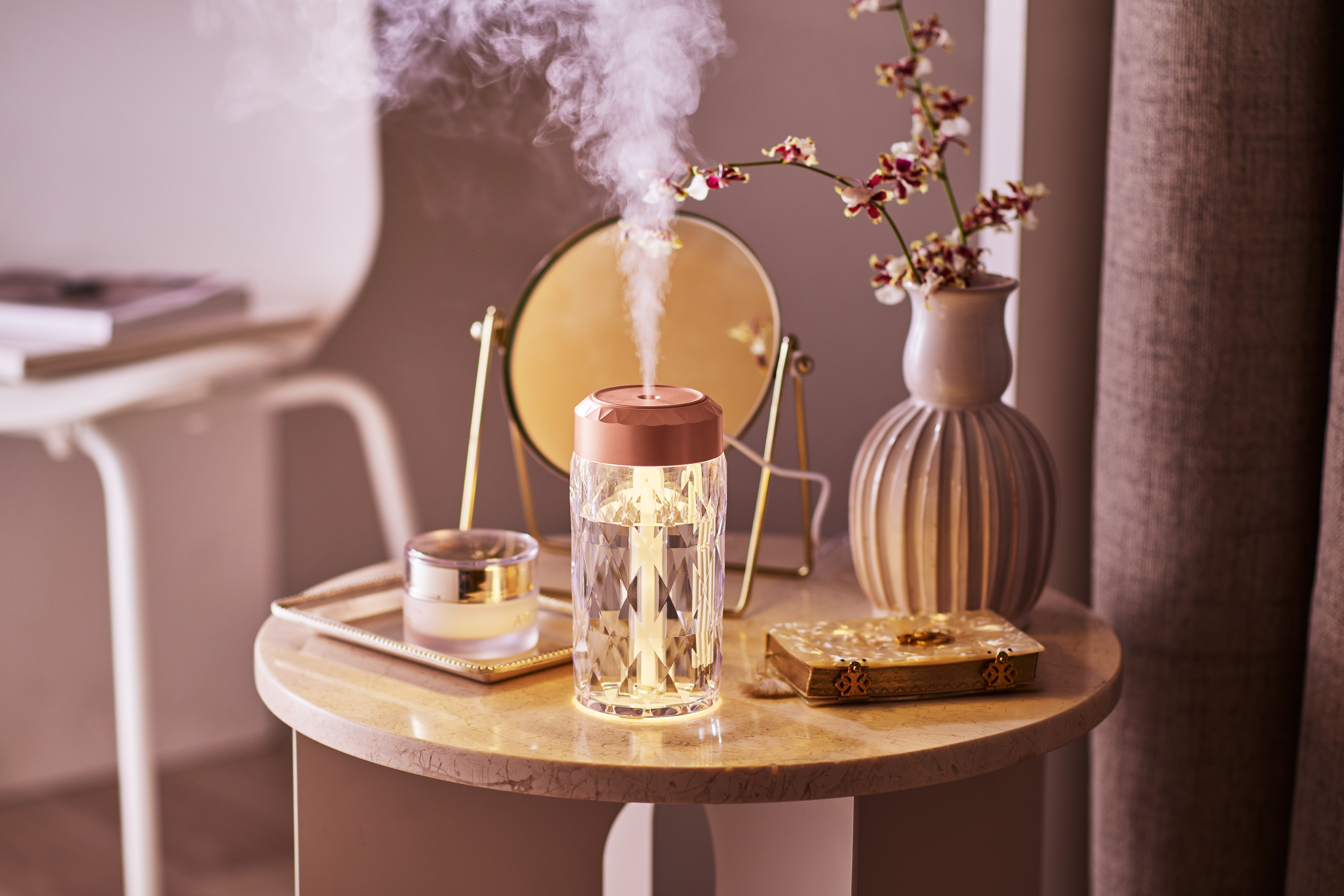 Mistal with Toffy パーソナルLED 加湿器