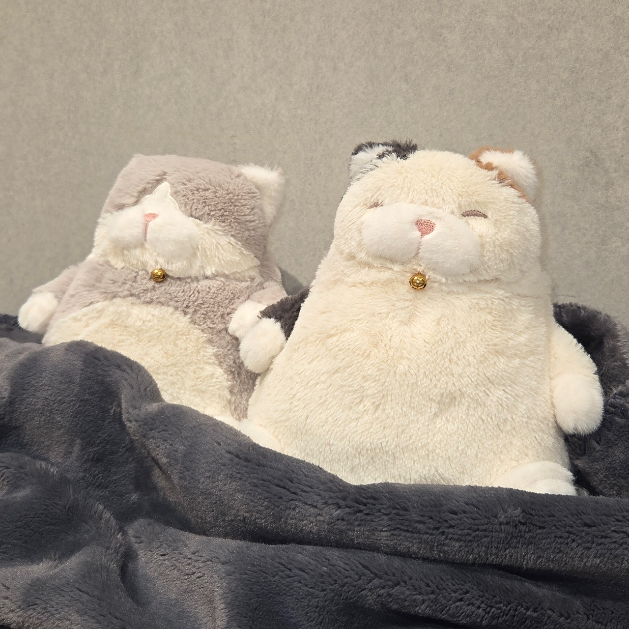 ポッコリおなかに癒される「ねこ肯定感」ウォーマー